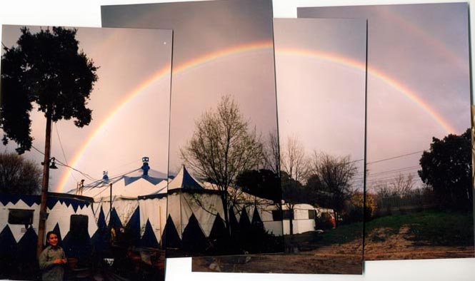 carampa arco iris